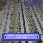 Bridge Expansion Joint Strip Seal SIG SS-95 1
