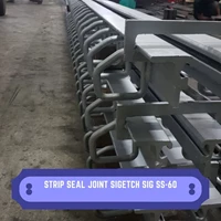 Strip Seal Expansion Joint SIGETCH SIG SS-60