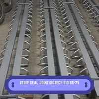 Strip Seal Expansion Joint SIGTECH SIG SS-75
