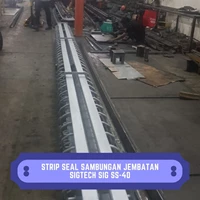 Bridge Joint Seal Strips SIGTECH SIG SS-40