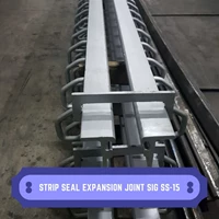 Strip Seal Expansion Joint SIGTECH SIG SS-15