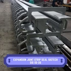 Expansion Joint Strip Seal SIGTECH SIG SS-20 1