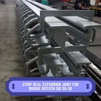 Strip Seal Expansion Joint For Bridge SIGTECH SIG SS-30