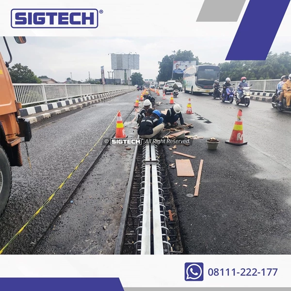 Strip Seal Expansion Joint For Bridge SIGTECH SIG SS-30