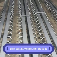 Strip Seal Expansion Joint SIG SS-20