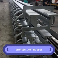 Strip Seal Expansion Joint SIG SS-25