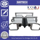 Strip Seal Joint For Bridge SIGTECH SIG SS-45 1